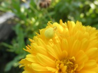 /album/fotogalerie/p8240250-jpg/